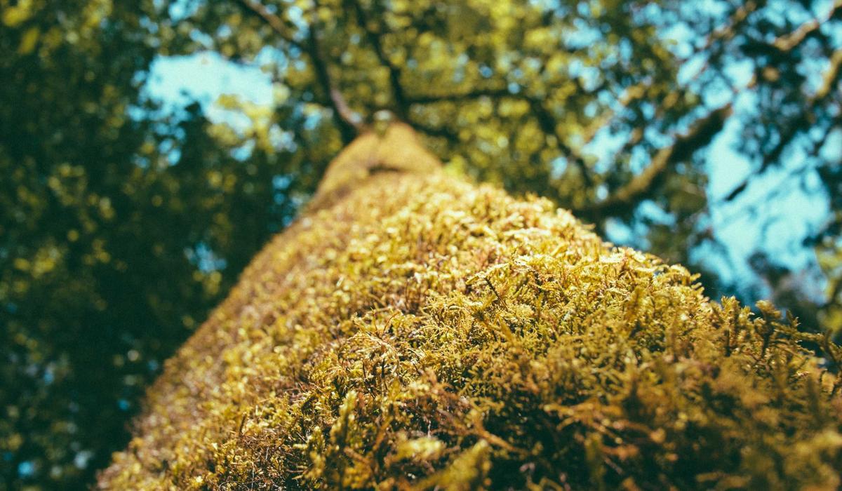 What readers should know before finding better examples